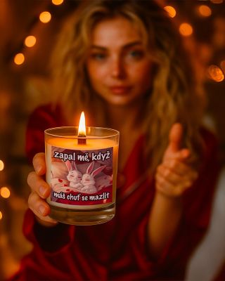 🎁 Tip na dárek pro všechny mazliče ❤️ Ať vám to miláček řekne svíčkou 👍 Příjemně voní a praská ➡️ Objednávejte na našem...